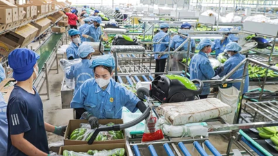 Phu Giao District: Efforts to develop sustainable agriculture
