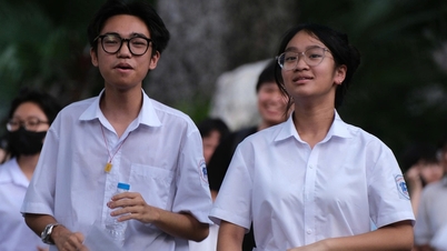 Bài giải 24 mã đề môn tiếng Anh thi lớp 10 Hà Nội