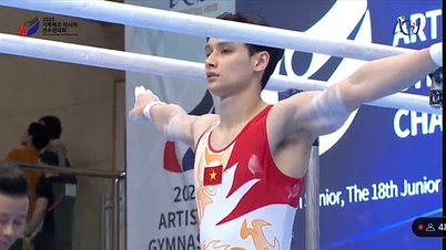 L'équipe de gymnastique masculine vietnamienne a terminé le tournoi asiatique avec une médaille de bronze