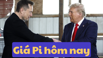 Pi Network Price Today June 8, 2025: Tension Between Elon Musk and Donald Trump