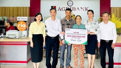 Agribank Insurance gives me confidence