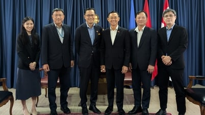 Golden time to promote Vietnamese rice to Singapore