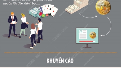 Warning about setting up companies for money laundering and fraud causing serious consequences