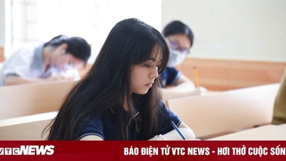Экзамен по литературе для 10-го класса специализированной школы в Ханое 2025 г.