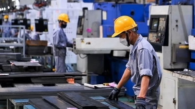 Noticias de Industria y Comercio 9 de junio: Oportunidad de oro para apoyar a las empresas del sector