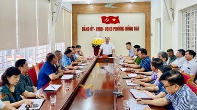 Hong Gai Ward: Spezifizierung der Arbeiten bereits ab den ersten Betriebstagen des neuen Geräts