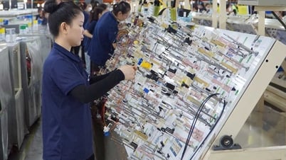 ヴィンロン経済 - 力強い成長が期待される
