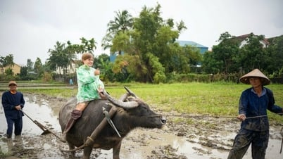 Bauern in Hoi An betreiben Agrartourismus
