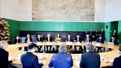 베트남-독일, 대화와 협력 증진에 합의