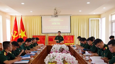 Head of Provincial Military Command inspects and grasps the situation of agencies and units after the merger